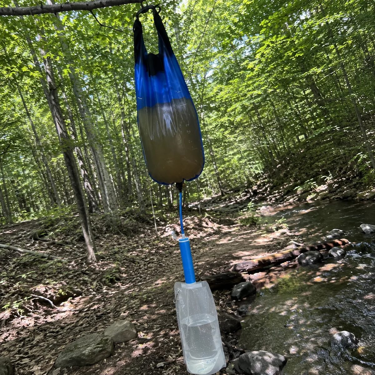 Gravity filter hanging from a branch in the forest