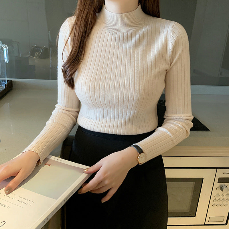 Zayenna Slim Fit Half Turtleneck Knit Top